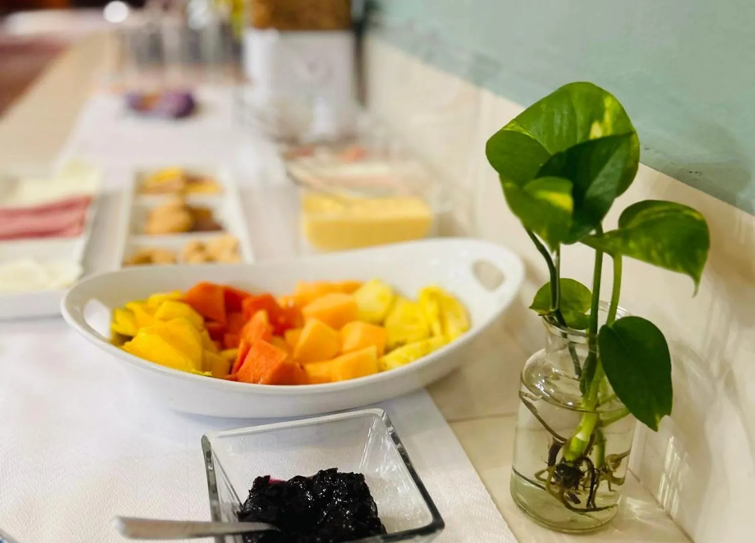 Casa Tres Colibries Bed and Breakfast Mérida Bed & Breakfast