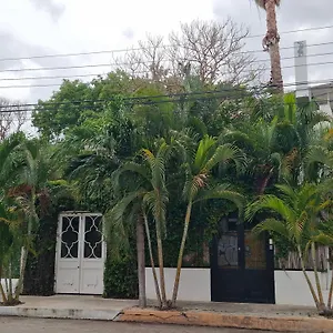 Downtown Hotel